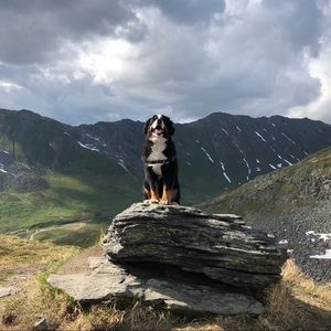 Meet your Posher, Matthew